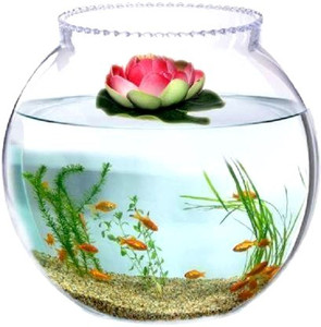 ATLOYAL collar 10 inches Round Ends Aquarium Tank