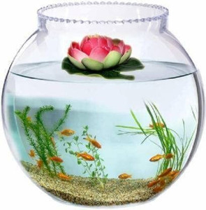 MAGINATO 10 inch coller fish bowl@4 Round Ends Aquarium Tank