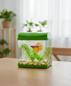 Petscope SQUARE AQUARIUM MINI BETTA FISH TANK(GREEN COLOR) Rectangle Aquarium Tank
