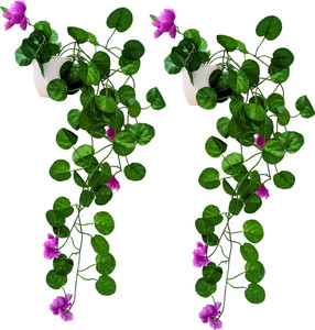 fancymart Artificial Flower Vine Plant Falling with Pot : Pack of 2 (Natural Touch & Feel) Wild Artificial Plant  with Pot