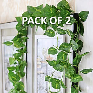 POKA Artificial Money Plant Creeper Vine for Wall Hanging Home Balcony Decor Set of 2 Artificial Plant