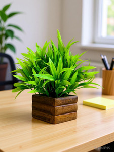 fancymart Bamboo Leaves Plant in Wood Pot with Height : 17 cm Artificial Plant  with Pot