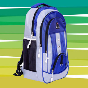 Zaxcer Medium 30 L Laptop Backpack 30 L Casual Waterproof Laptop Bag/Backpack for Men 30 L Laptop Backpack