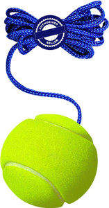 VS Sports Cricket Tennis Hanging Practice ball Heavy for Indoor/Outdoor Knocking Cricket Tennis Ball