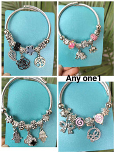 Rapid Alloy, Stainless Steel Charm Bracelet