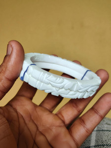 aj seashells Shell Shakha Pola