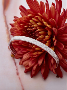 PEOPLE JEWL Stainless Steel Bracelet - Image 6