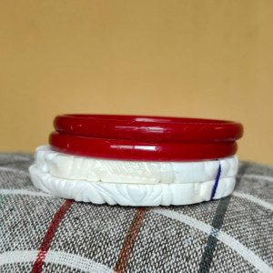 aj seashells Shell Shakha Pola