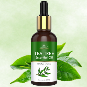 INTIMIFY Tea Tree Essential Oil- 100% Pure & Natural