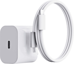 RoarX 25 W Adaptive Charging 3.1 A Wall Charger for Mobile with Detachable Cable