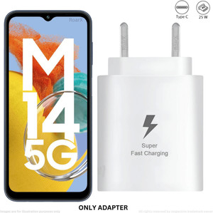 RoarX 25 W PD 3 A Wall Charger for Mobile