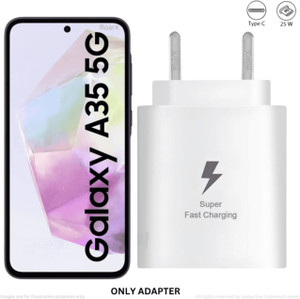 RoarX 25 W PD 3.1 A Wall Charger for Mobile