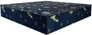 COLOFLY Swezzz Eco 5 inch Single EPE Foam Mattress