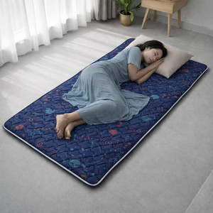 VRIKSHH Roll-Up Foldable Mattress |Folding/Lightweight/Travel/Floor/Yoga Mat |SingleSize 1 inch Single PU Foam Mattress