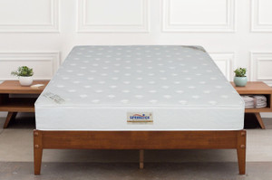 SPRINGTEK Ortho Pocket Spring Premium 10 inch Single Pocket Spring Mattress
