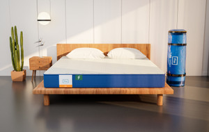 FLO Ergo 10 inch Single Memory Foam Mattress