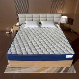 Splendid Organic 4 inch Double Coir Mattress