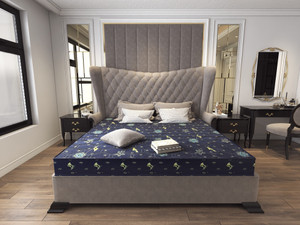 COLOFLY Swezzz Eco 5 inch Single EPE Foam Mattress