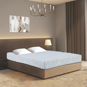 Doctor Mattrezz Orthotech Orthopedic Back Support 6 inch Single Bonded Foam Mattress