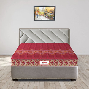 COIRFIT Day Dream with 36 YEARS OF TRUST 5 inch Single Coir Mattress
