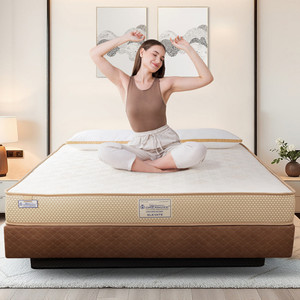 DREAMZEE 100% Natural Latex Plus Memory Foam Certified Hybrid 5 inch Single High Resilience (HR) Foam Mattress