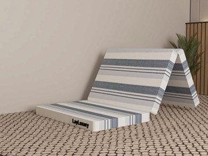 LayLuxury "EPEComfort DreamEase |Foldable Mattress| Series" 2 inch Single EPE Foam Mattress