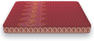 COIRFIT Day Dream 4.5 inch with 36 YEARS OF TRUST 4.5 inch King Coir Mattress