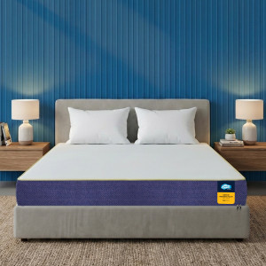 Centuary Ortho-Sleepables, Memory Foam, Medium firm support 5 inch Queen High Resilience (HR) Foam Mattress