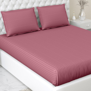haus & kinder 210 TC Cotton King Striped Fitted (Elastic) Bedsheet