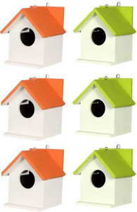 ganga enterprise Bird House Bird Nest for Sparrow and other Garden Birds Pack of 6 Nest Bird House