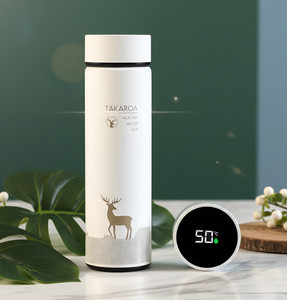 Cilox TAKAROA 500 ml Steel Bottle