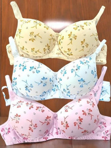 GANZIA Pack of 3 Women T-Shirt Lightly Padded Bra