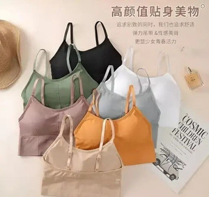 Paradise Women Everyday Lightly Padded Bra