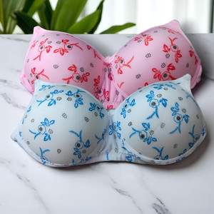 Anamta Pack of 2 Women Push-up Lightly Padded Bra Women Push-up Lightly Padded Bra