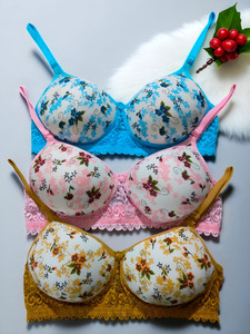 Velma Women’s Everyday Lightly Padded Bra Combo (Pack of 3) Women Everyday Lightly Padded Bra