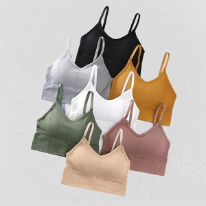 Paradise Women Everyday Lightly Padded Bra