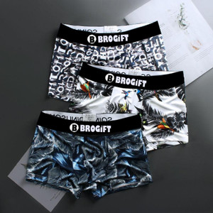 B BROGIFT Men Brief
