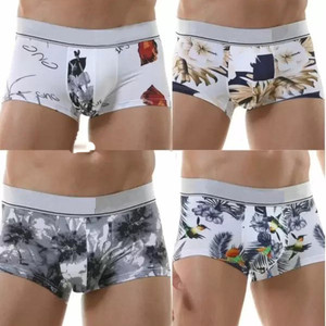 Cavendres Men Brief