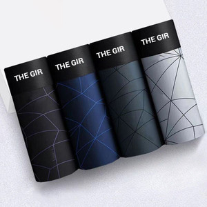 Thegir Men Brief Pack of 4 - Image 5