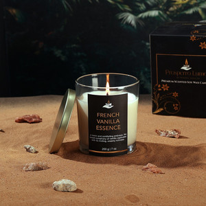 Parkash Candles Premium Scented Soy Wax Candle 200 gm 25-30 Hrs French Vanilla Essence Candle