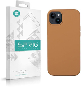 Sprig Back Cover for Apple iPhone 13