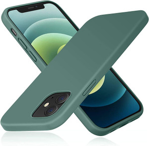 Sychelle Back Cover for Apple iphone 12