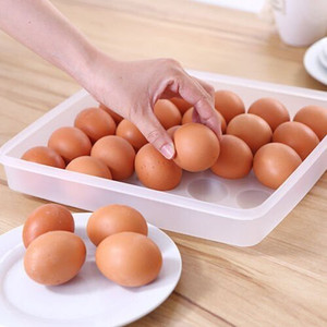 JIGSHTIAL Plastic Egg Container - 2 dozen