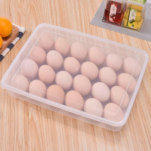 VR Plastic Egg Container  - 2 dozen