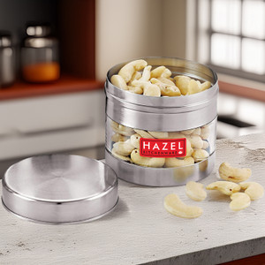 HAZEL Steel Grocery Container  - 500 ml