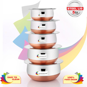 VIGSHRISE Pack of 5 Stainless Steel Dinner Set
