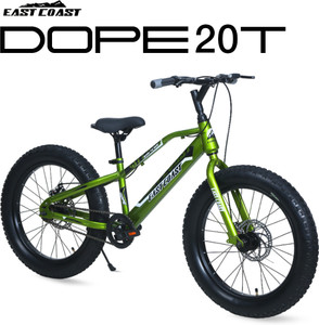 EAST COAST DOPE 20T Kids Fat Bike With Dual Disc Brakes (Sparkle Green)) 20 T