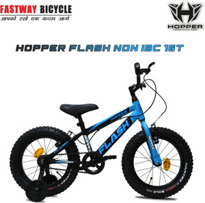 Fastway FW-FLASH 3.00 N/IBC WITH BOTTLE 16 T (inch) Fat Tyre Cycle