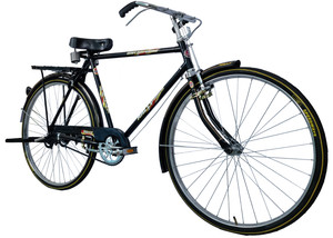 Rally Popular 22 Inch Men's Full Size Bicycle with Carrier, Stand and Lock 26 T (inch) Hybrid Cycle/City Bike