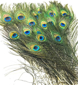Theprimehub Pack of 3 Decorative Feathers